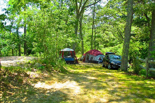 Tent site Camping at Shady Knoll Campground
